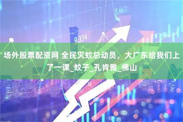 场外股票配资网 全民灭蚊总动员，大广东给我们上了一课_蚊子_孔肯雅_佛山