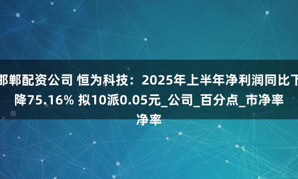 邯郸配资公司 恒为科技：2025年上半年净利润同比下降75.16% 拟10派0.05元_公司_百分点_市净率